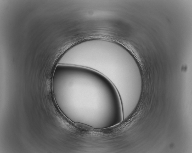 X0000095890393200801110833