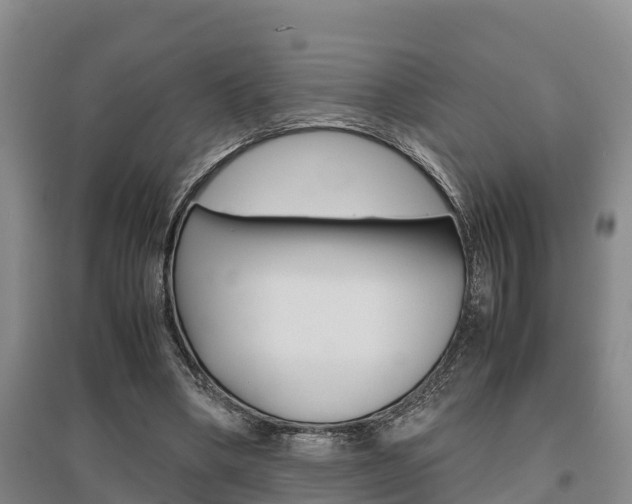 X0000095890394200801110833