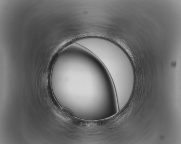 X0000095890395200801110833