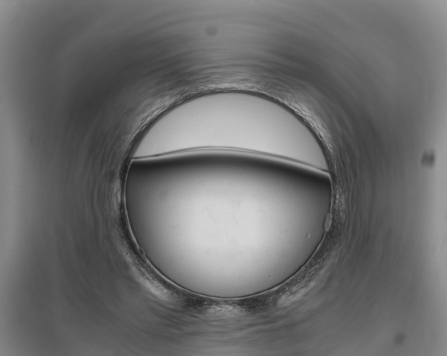 X0000095890397200801110833