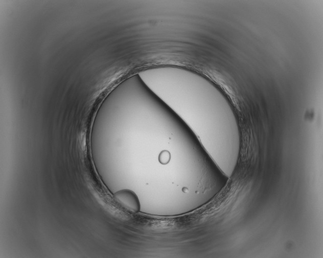 X0000095890398200801110833