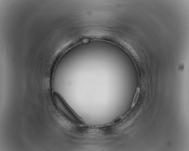 X0000095890399200801110833