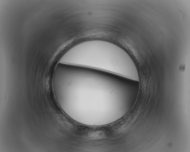 X0000095890400200801110833