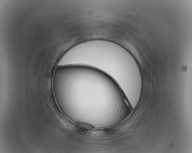 X0000095890401200801110833