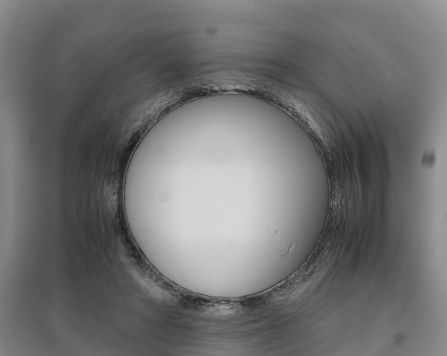 X0000095890402200801110833