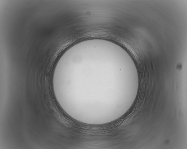 X0000095890403200801110833