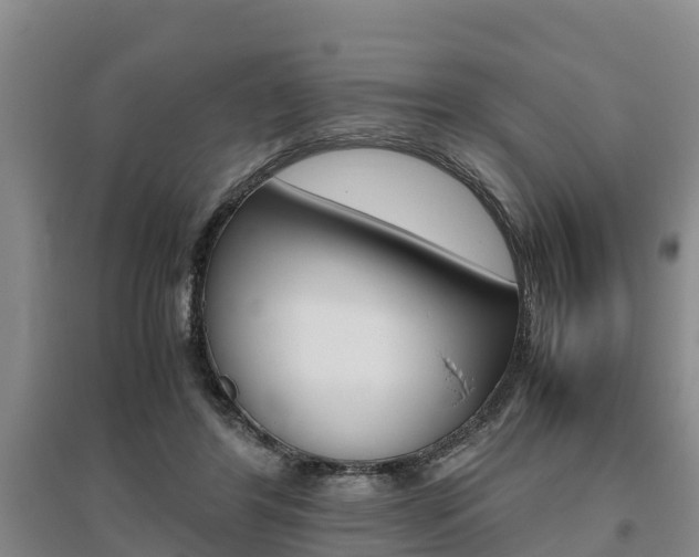 X0000095890404200801110833