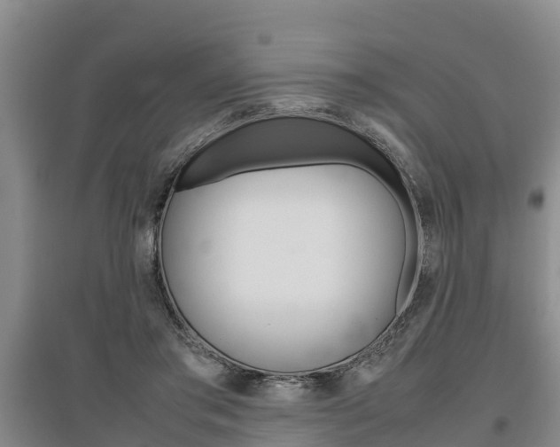 X0000095890405200801110833