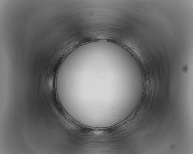 X0000095890406200801110833