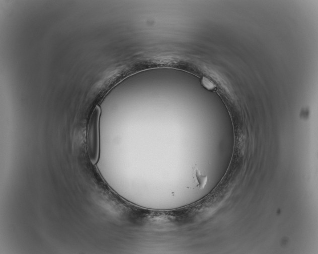 X0000095890407200801110833