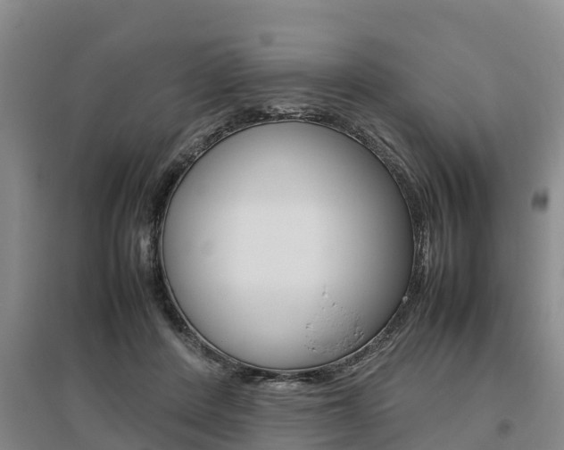 X0000095890408200801110833