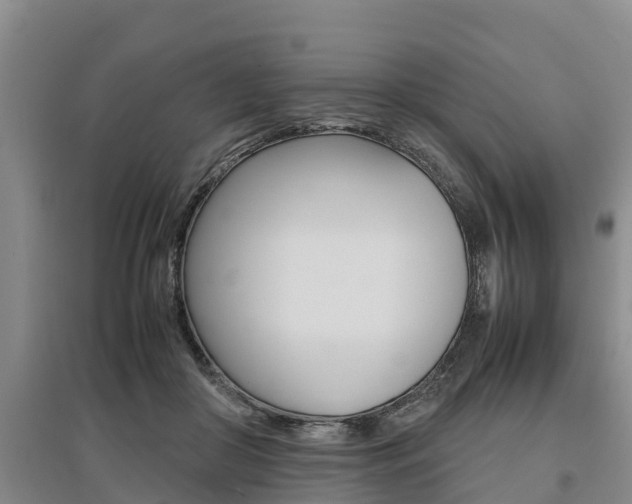 X0000095890410200801110833