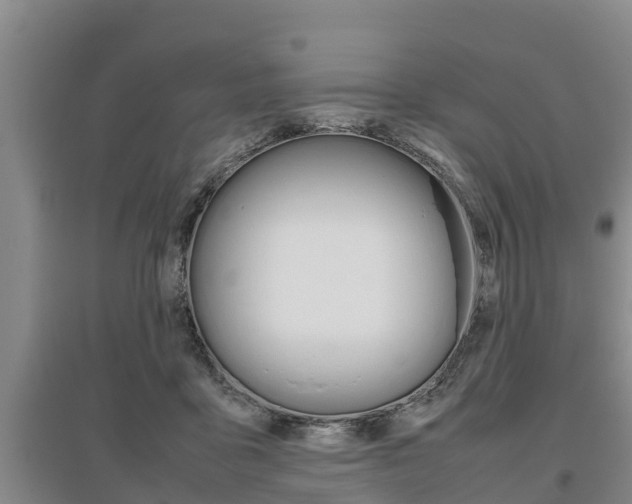 X0000095890411200801110833