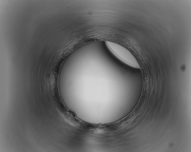 X0000095890412200801110833