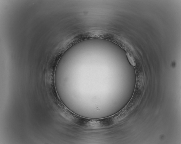 X0000095890413200801110833
