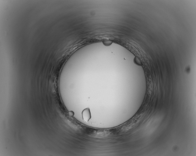 X0000095890414200801110833