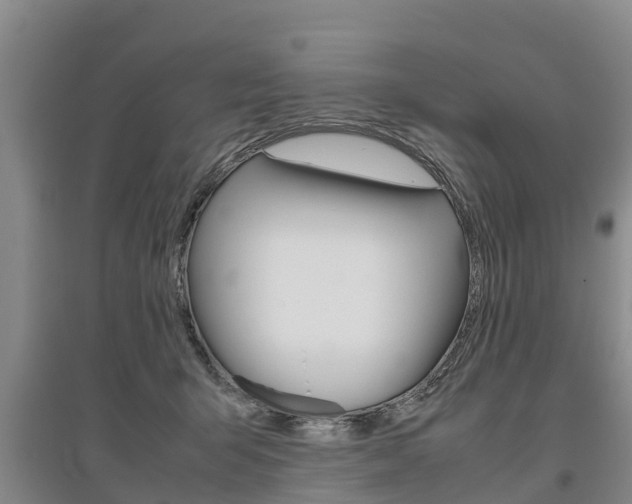 X0000095890415200801110833