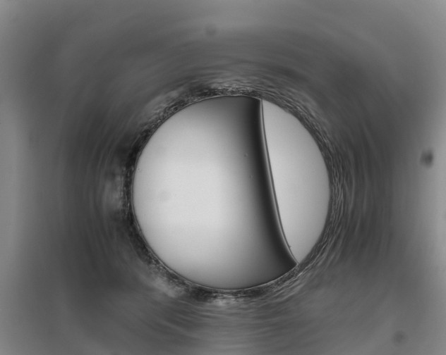 X0000095890416200801110833
