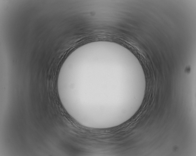 X0000095890417200801110833