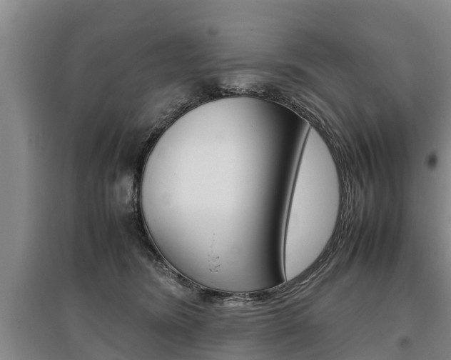 X0000095890420200801110833