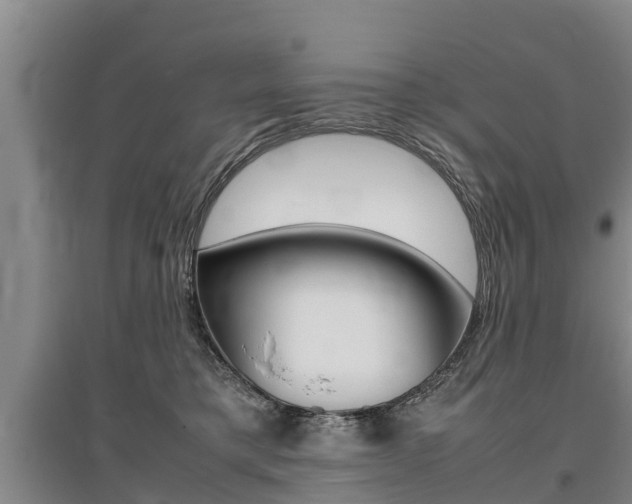 X0000095890421200801110833