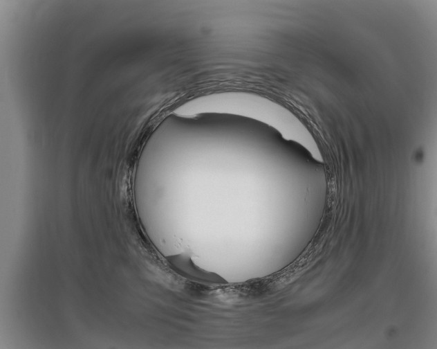 X0000095890423200801110833