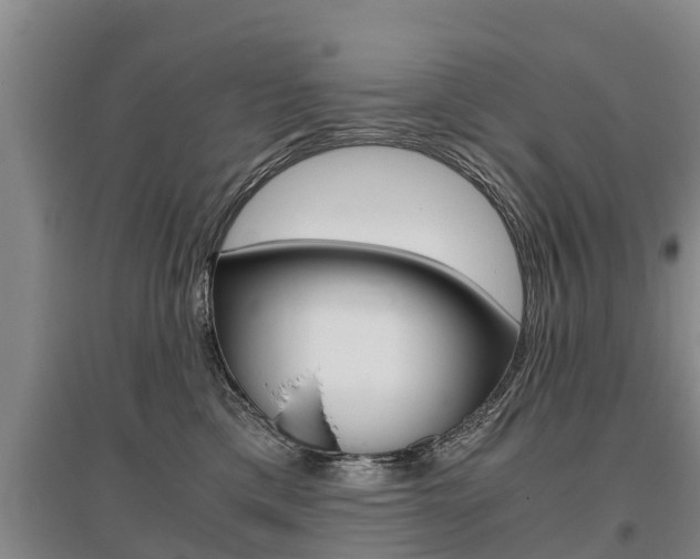 X0000095890425200801110833