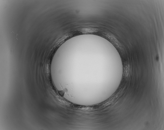 X0000095890426200801110833