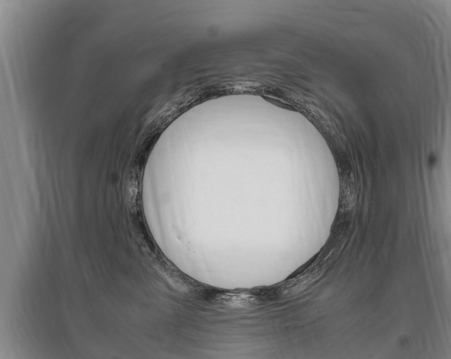 X0000095890427200801110833