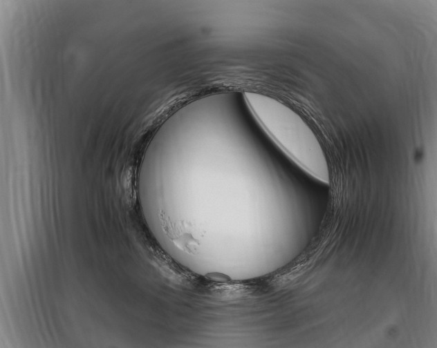 X0000095890428200801110833