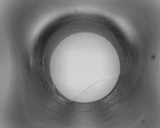 X0000095890431200801110833