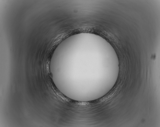 X0000095890432200801110833