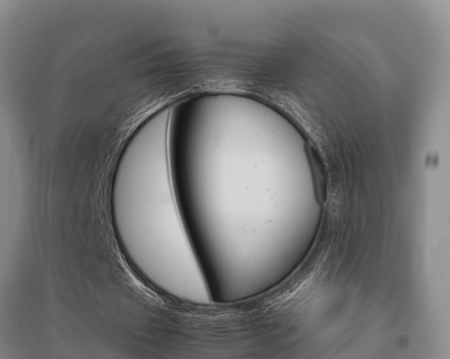 X0000095890433200801110832