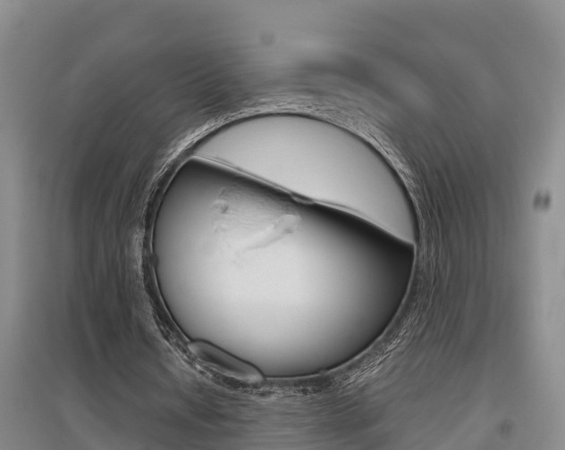X0000095890434200801110832