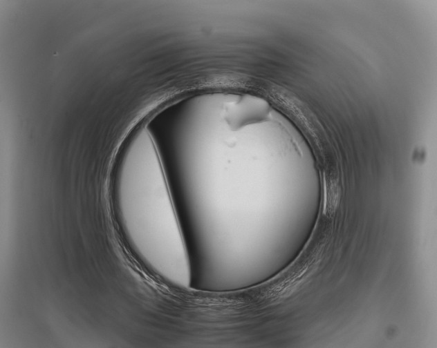 X0000095890435200801110832