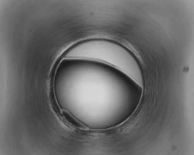 X0000095890436200801110832