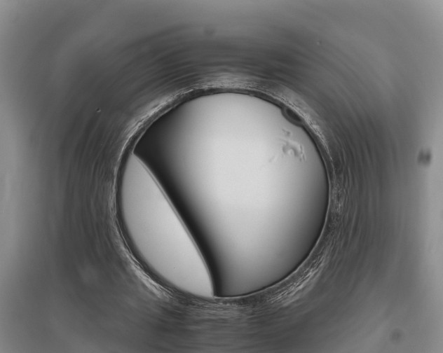 X0000095890437200801110832