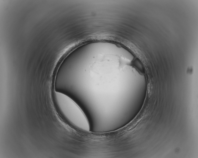 X0000095890438200801110832