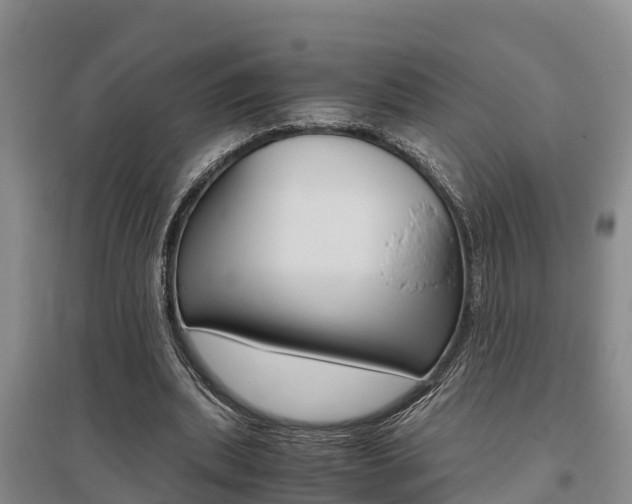 X0000095890439200801110832