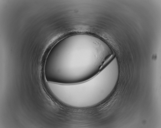 X0000095890440200801110832