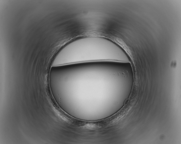 X0000095890441200801110832