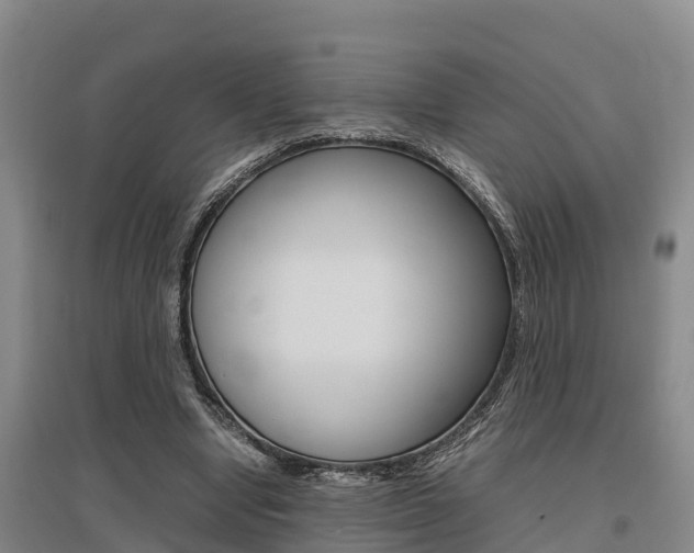 X0000095890442200801110832