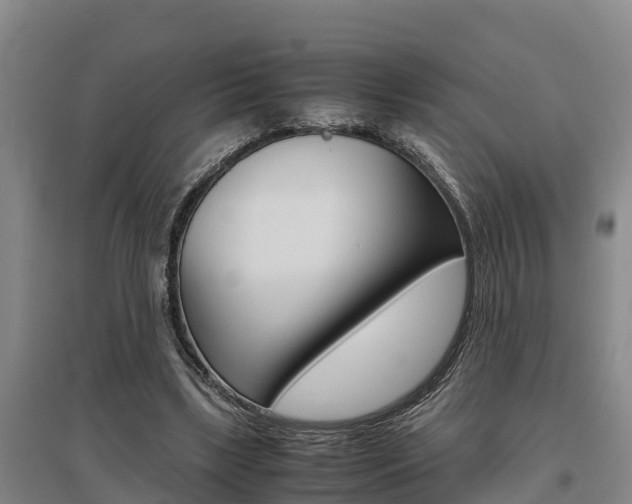 X0000095890443200801110832