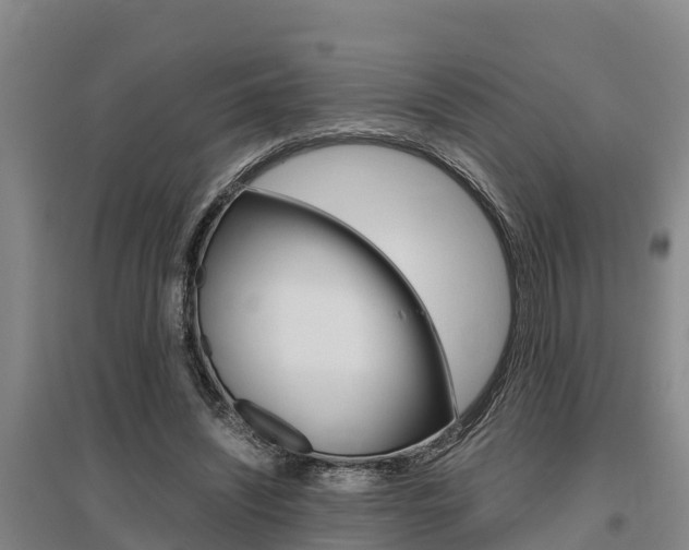X0000095890444200801110832