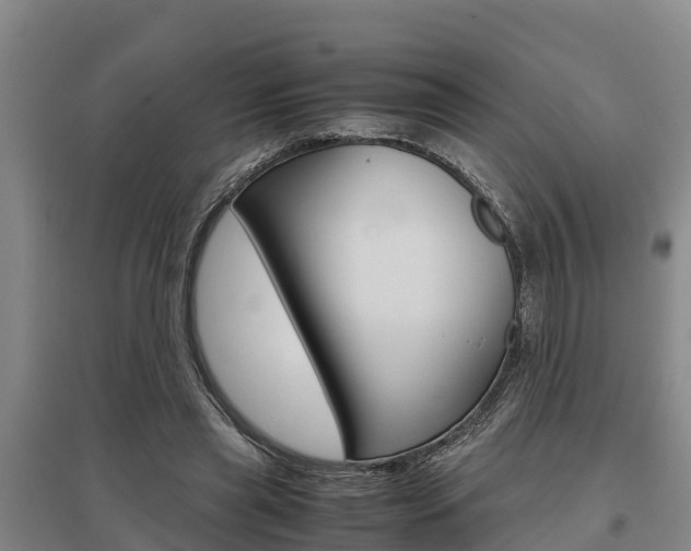 X0000095890445200801110832