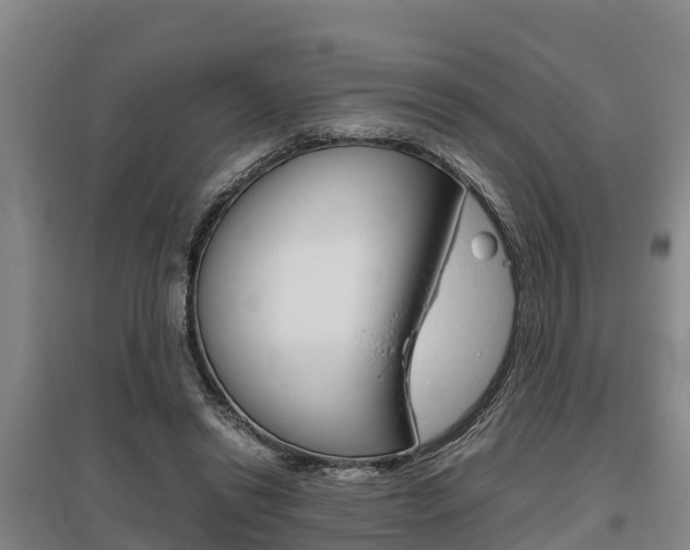 X0000095890446200801110832