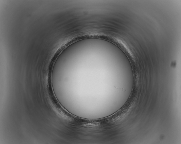 X0000095890447200801110832