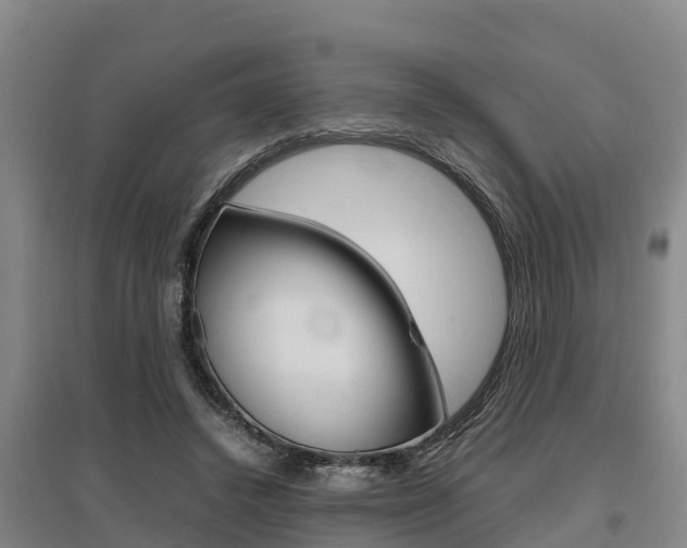 X0000095890448200801110832
