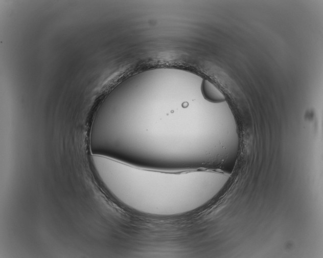 X0000095890450200801110832