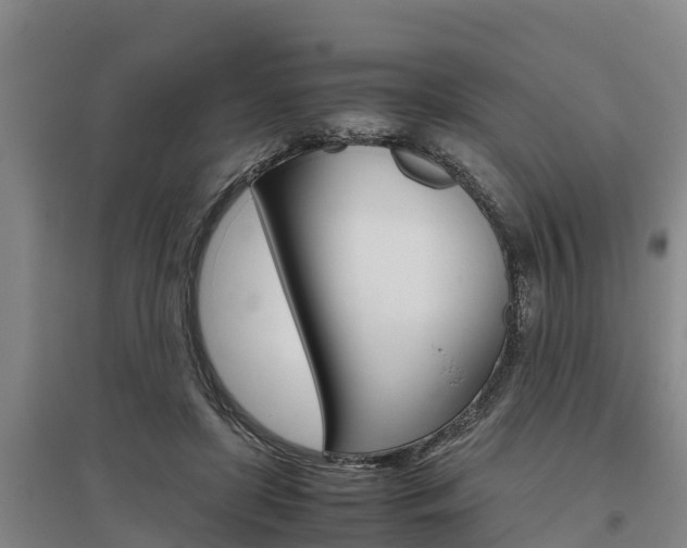 X0000095890451200801110832